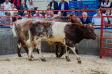 lot 56 sold for 2100 gns
